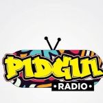 Pidgin Radio